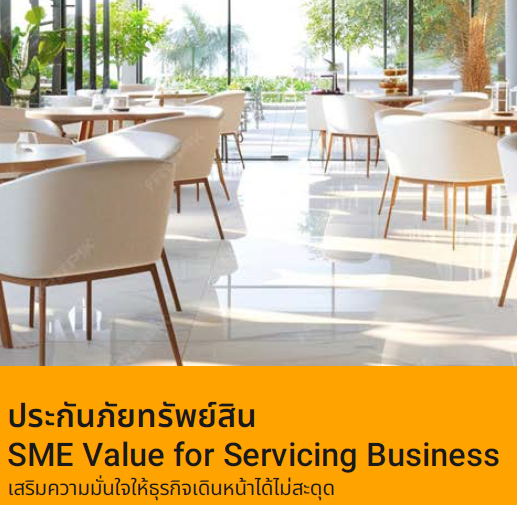 SME Value Servicing